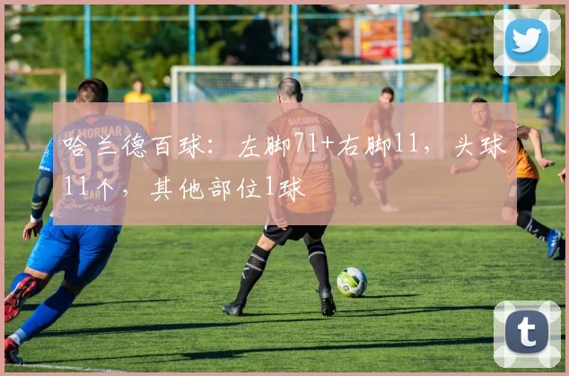 哈兰德百球：左脚71+右脚11，头球11个，其他部位1球