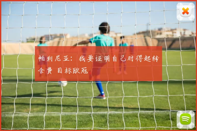 帕利尼亚：我要证明自己对得起转会费 目标欧冠