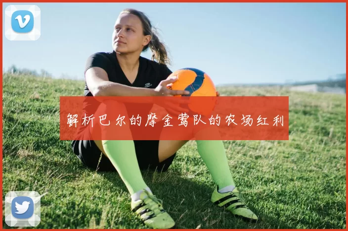 解析巴尔的摩金莺队的农场红利