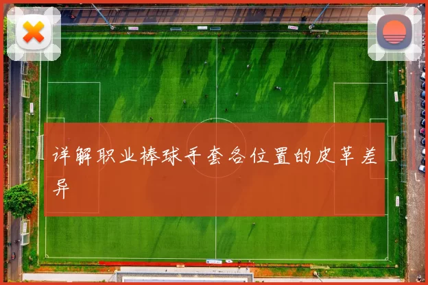 详解职业棒球手套各位置的皮革差异