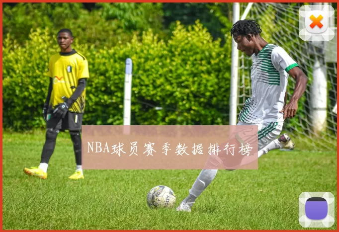 NBA球员赛季数据排行榜