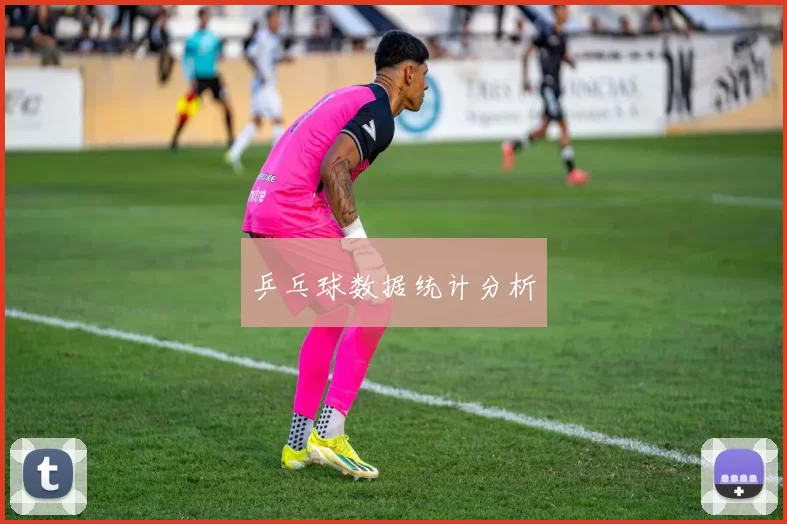 乒乓球数据统计分析