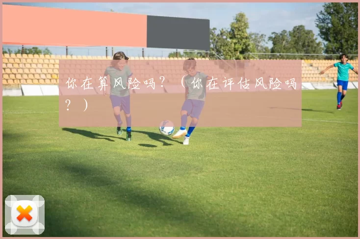 你在算风险吗？（你在评估风险吗？）