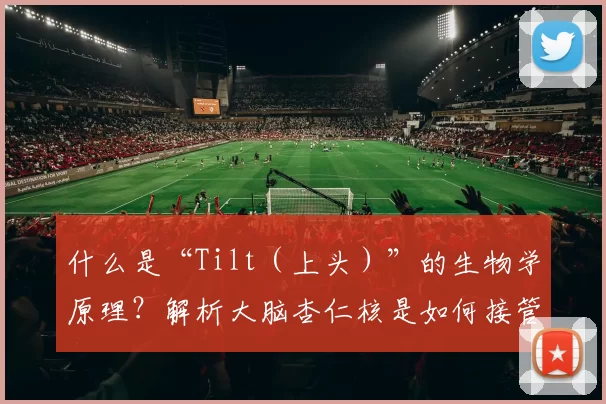 什么是“Tilt（上头）”的生物学原理？解析大脑杏仁核是如何接管理智的。（从神经科学看“上头”（Tilt）：杏仁核如何接管你的理性）