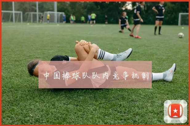 中国棒球队队内竞争机制