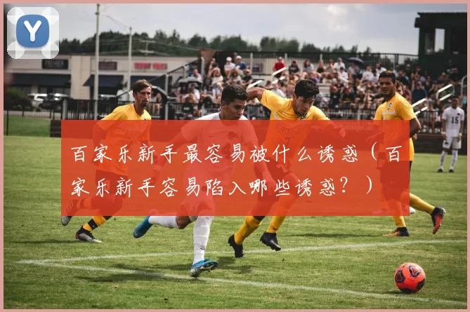 百家乐新手最容易被什么诱惑（百家乐新手容易陷入哪些诱惑？）