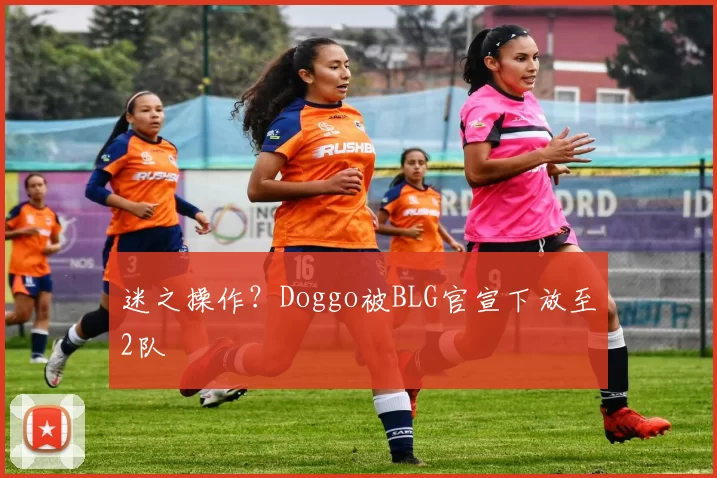 迷之操作？Doggo被BLG官宣下放至2队
