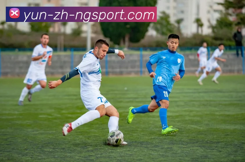 NG体育平台生态图