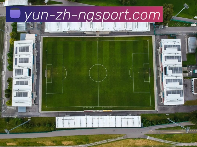 NG体育APP 封面图